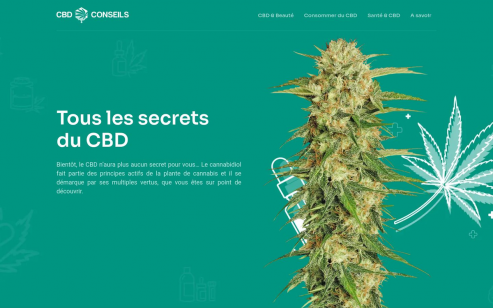 https://www.cbd-conseils.com